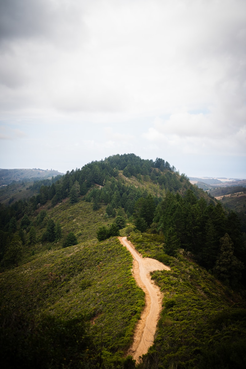A dirt road on top of a green hill